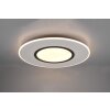Plafonnier Trio-Leuchten Verus LED Nickel mat, 1 lumière, Télécommandes
