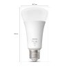LED E27 15,5 Watt 2700 Kelvin 1600 Lumen Philips Hue White