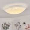 Plafonnier Worben LED Blanc, 1 lumière