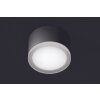 plafonnier extérieur LCD Grasbrunn LED Noir, 1 lumière
