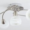 Plafonnier Warga Nickel mat, 5 lumières