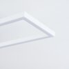 Plafonnier Hyacinthe LED Blanc, 1 lumière