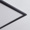 Plafonnier Wilderswil LED Blanc, 1 lumière