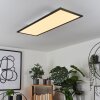 Plafonnier Wilderswil LED Blanc, 1 lumière