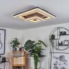Plafonnier Kolo LED Noir, Blanc, 1 lumière