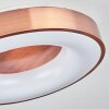 Plafonnier Sachseln LED Blanc, 1 lumière