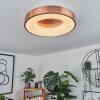Plafonnier Sachseln LED Blanc, 1 lumière