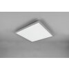 Plafonnier Reality Gamma LED Titane, 1 lumière, Télécommandes