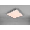 Plafonnier Reality Gamma LED Titane, 1 lumière, Télécommandes