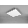Plafonnier Reality Gamma LED Titane, 1 lumière, Télécommandes