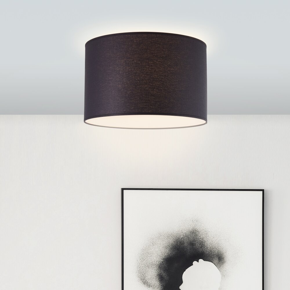 Plafonnier Brilliant Esher Argenté, 1 lumière main product photo