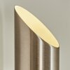 Applique murale Cann LED Nickel mat, 2 lumières