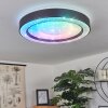 Plafonnier Zeballos LED Blanc, 1 lumière, Télécommandes, Changeur de couleurs
