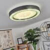 Plafonnier Zeballos LED Blanc, 1 lumière, Télécommandes, Changeur de couleurs