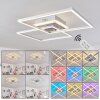 Plafonnier Lithgow LED Argenté, 2 lumières, Télécommandes, Changeur de couleurs