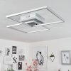 Plafonnier Lithgow LED Argenté, 2 lumières, Télécommandes, Changeur de couleurs