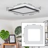 Plafonnier Wilderswil LED Blanc, 1 lumière