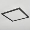 Plafonnier Wilderswil LED Blanc, 1 lumière