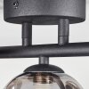 Plafonnier Chariton LED Noir, 3 lumières