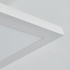Plafonnier Barasat LED Blanc, 1 lumière