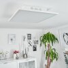 Plafonnier Barasat LED Blanc, 1 lumière