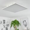 Plafonnier Barasat LED Blanc, 1 lumière