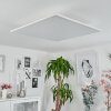 Plafonnier Barasat LED Blanc, 1 lumière