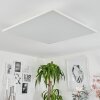 Plafonnier Barasat LED Blanc, 1 lumière