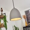 Suspension Stettler Noir, 1 lumière