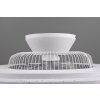 Ventilateur Reality Visby LED Chrome, 1 lumière, Télécommandes