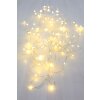Guirlande Globo LED Argenté, 100 lumières