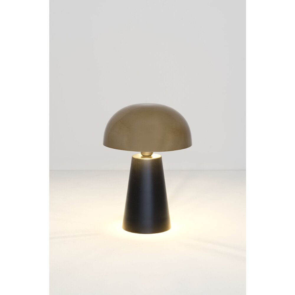 Lampe de table Holländer FUNGO Or, Noir, 1 lumière main product photo