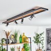 Plafonnier Deadwood LED Noir, Blanc, 5 lumières