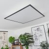Plafonnier Barasat LED Noir, Blanc, 2 lumières