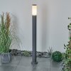 Borne lumineuse Caserta Anthracite, 1 lumière