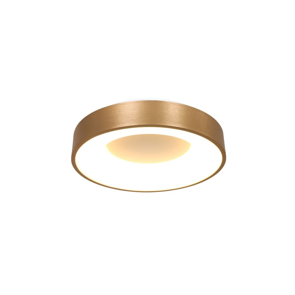 Plafonnier Steinhauer Ringlede Or, 1 lumière main product photo
