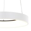 Suspension Steinhauer Ringlede Blanc, 1 lumière
