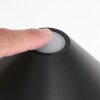 Lampe de table Steinhauer Ancilla LED Noir, 1 lumière