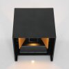 Applique murale d'extérieur Steinhauer Muro LED Noir, 2 lumières