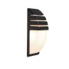 Applique murale d'extérieur Lutec CITY Anthracite, 1 lumière