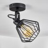 Plafonnier Albreda Noir, 1 lumière