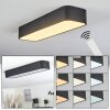 Plafonnier Iriondo LED Noir, 1 lumière, Télécommandes