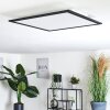 Plafonnier Ringuelet LED Blanc, 1 lumière, Télécommandes