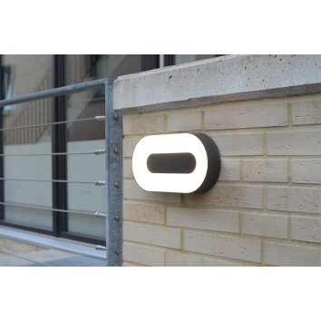 Applique murale d'extérieur Felsted LED Argenté, 1 lumière