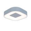 Applique murale d'extérieur Feldsted LED Argenté, 1 lumière