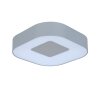 Applique murale d'extérieur Feldsted LED Argenté, 1 lumière