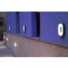 Applique murale d'extérieur Feldsted LED Argenté, 1 lumière