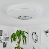 Plafonnier Auxerre LED Blanc, 1 lumière