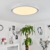 Plafonnier Telsen LED Blanc, 2 lumières, Télécommandes, Changeur de couleurs