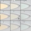 Plafonnier Telsen LED Blanc, 2 lumières, Télécommandes, Changeur de couleurs